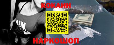 тгк Кингисепп