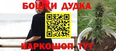тгк Кингисепп