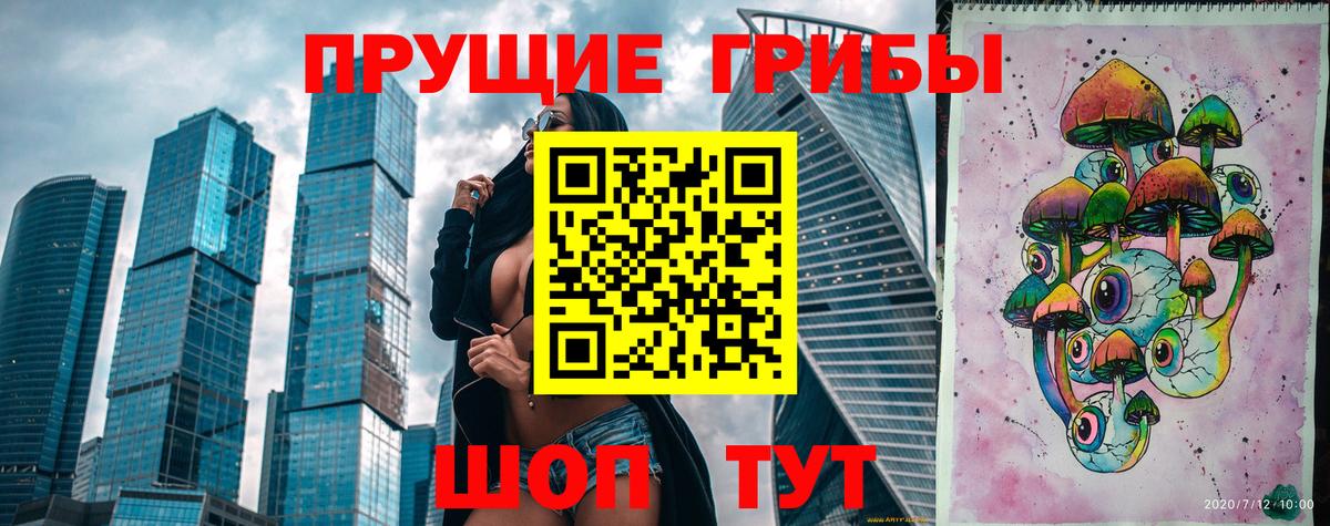 Псилоцибиновые грибы GOLDEN TEACHER  Вход с VPN  Знаменск 